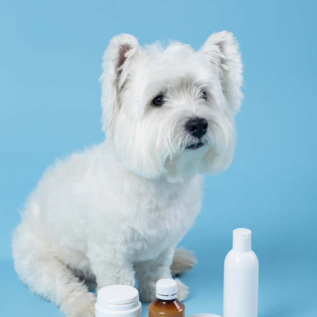 Clean Beauty Brands