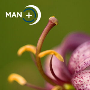 Man +